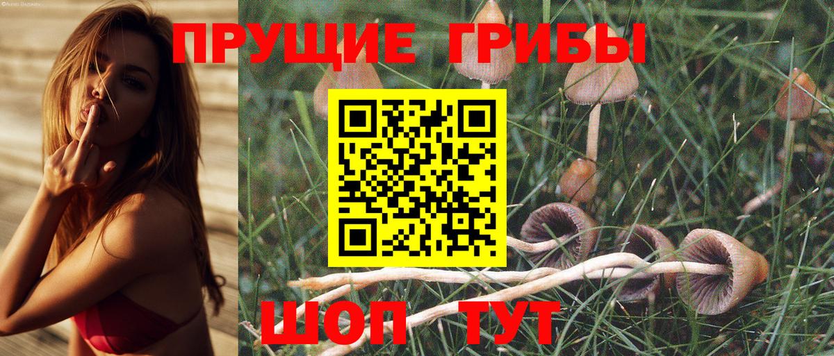 Псилоцибиновые грибы GOLDEN TEACHER  Псилоцибиновые грибы Cubensis  Вход с VPN  Ликино-Дулёво 