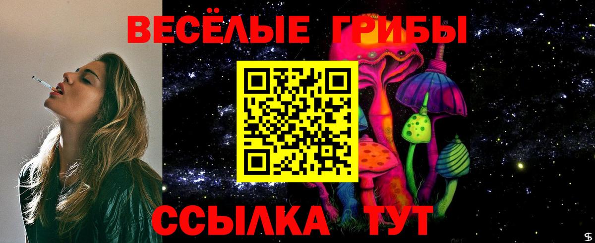 Псилоцибиновые грибы GOLDEN TEACHER Ликино-Дулёво